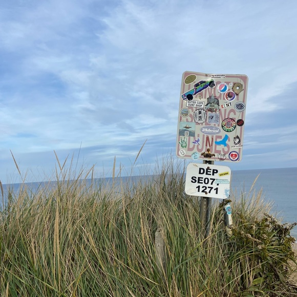 Meet your Posher, Gretchen - Picture 1 of 1